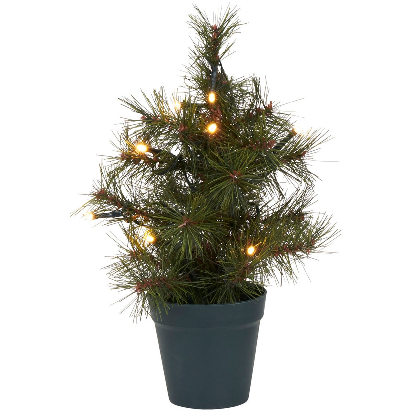 Pinus Juletræ Grønt, 30 cm