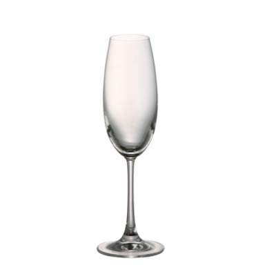 DiVino Champagneglas 22 cl, 6-Pak
