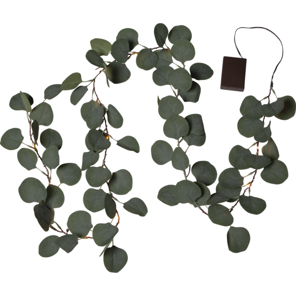 Eucalyptus Guirlande